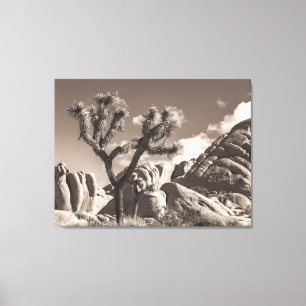 Toile Paysage de Joshua Tree en ton sépia