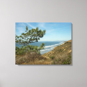 Toile Paysage de Torrey Pine et de la côte californienne