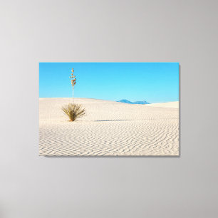 Toile Paysage de White Sands et arbre de Yucca
