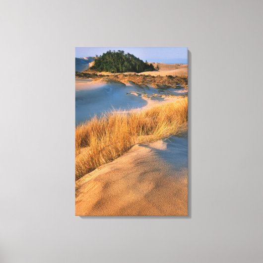 Toile Paysage des dunes de sable de l'Oregon (Recto)