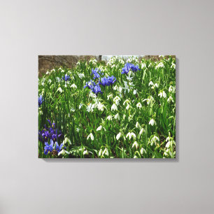 Toile Paysage des fleurs du début du printemps