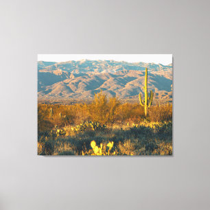 Toile Paysage désertique avec cactus saguaro