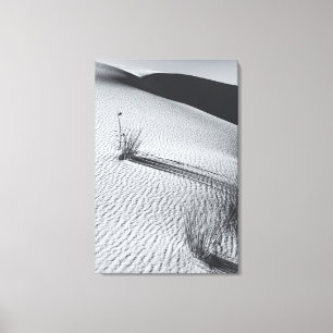 Toile Paysage désertique monochrome avec touffes d'herbe
