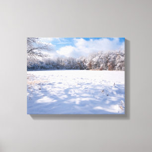 Toile Paysage d'hiver de Salem Hills Pond et Forêt