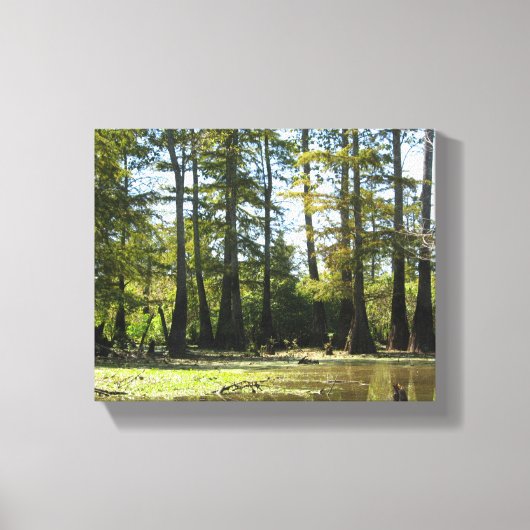 Toile Paysage du marais Cypress (Recto)