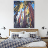 Toile Paysage forestier de géants séquoias (Insitu(Chambre))