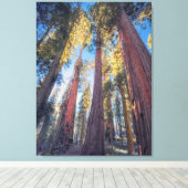 Toile Paysage forestier de géants séquoias (Insitu (Plancher de Bois))