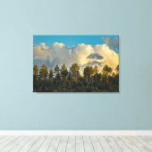 TOILE PAYSAGE OCCIDENTAL (Insitu (Plancher de Bois))
