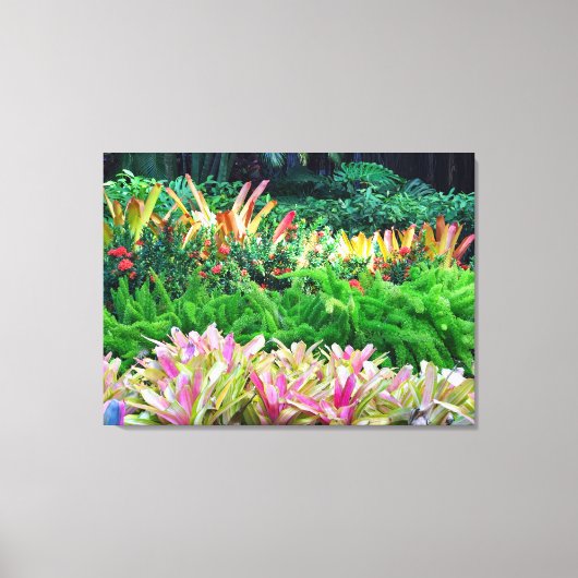 Toile Paysage tropical (Recto)