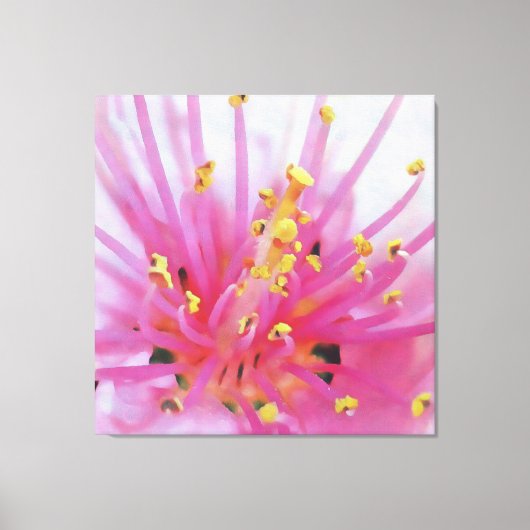 Toile Peach Pink Pollen Macro Art Abstrait (Recto)