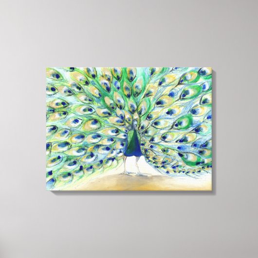 Toile Peacock à San Diego 2 2013 (Recto)