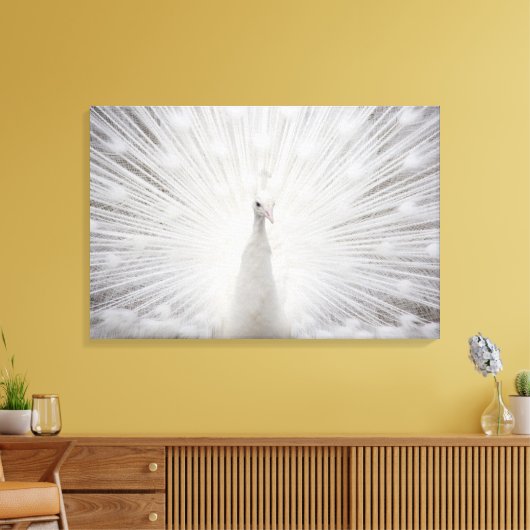 Toile Peacock blanc (Insitu(Salon))