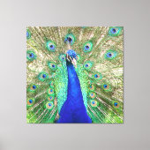 Toile Peacock bleu (Recto)