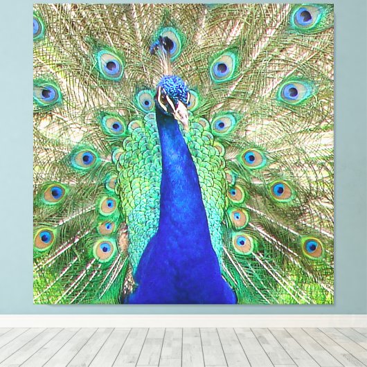 Toile Peacock bleu (Insitu (Plancher de Bois))