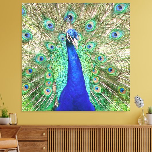 Toile Peacock bleu (Insitu(Salon))