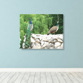Toile Peacock in a Garden photographie Imprimer Wall Art (Insitu (Plancher de Bois))