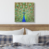 Toile Peacock montrant ses plumes (Insitu(Chambre))