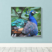 Toile Peacock Roosage Imprimer (Insitu (Plancher de Bois))