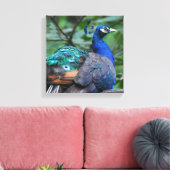 Toile Peacock Roosage Imprimer (Insitu(Salon))