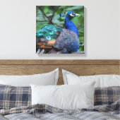 Toile Peacock Roosage Imprimer (Insitu(Chambre))