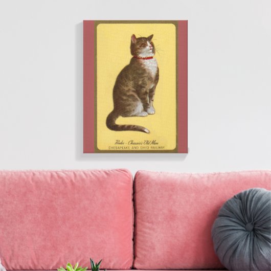 Toile Peake, le chat tabby de Chessie (Insitu(Salon))