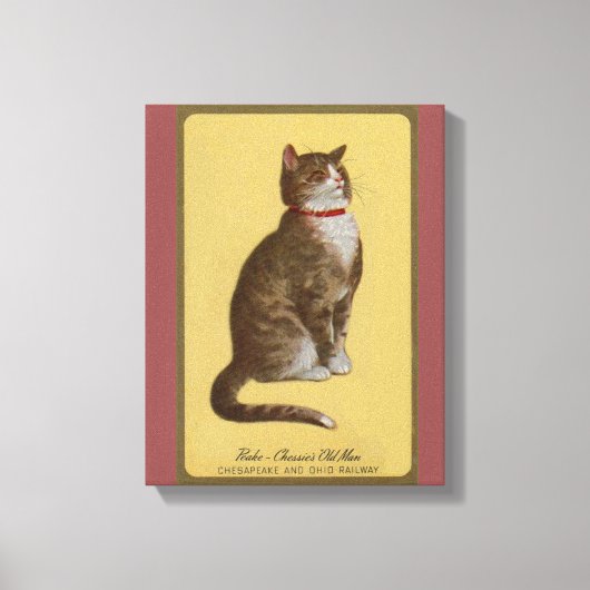 Toile Peake, le chat tabby de Chessie (Recto)