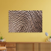 Toile peau d'éléphant africain (Loxodonta africana) (Insitu(Salon))