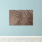 Toile peau d'éléphant africain (Loxodonta africana) (Insitu (Plancher de Bois))
