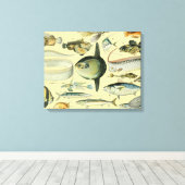 Toile Pêche scientifique vintage (Insitu (Plancher de Bois))