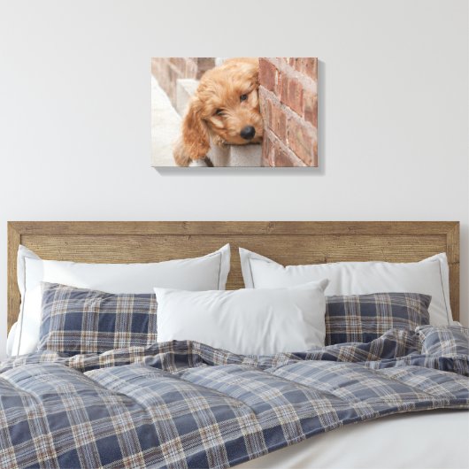 Toile Peecing de Goldendoodle (Insitu(Chambre))