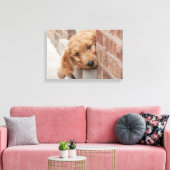 Toile Peecing de Goldendoodle (Insitu(Salon))