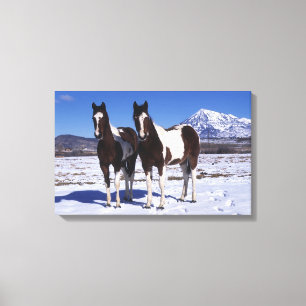 Toile Peignez les chevaux se tenant dans la neige