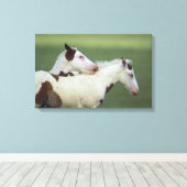 Toile Peindre Foals Jouer (Insitu (Plancher de Bois))