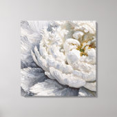 Toile Peine blanche Impasto (Recto)