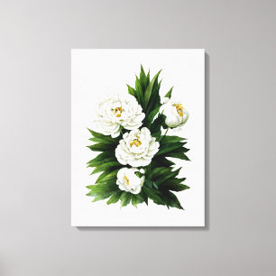 Toile Peine blanche peony botanique aquarelle art