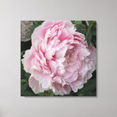 Toile Peine rose de 24 po x 24 po (Recto)