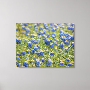 Toile peinte : Champ de Bluebonnet de fleur