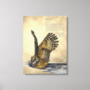 Toile Peinture à la main Chouette en voie de disparition