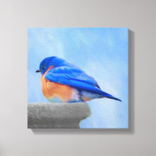 Toile Peinture Bluebird - Art original pour oiseaux