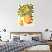 Toile Peinture botanique vintage de citron et pomelo (Insitu(Chambre))