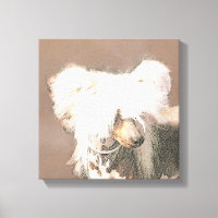 Peinture Chinoise sans cheveux peint art original 