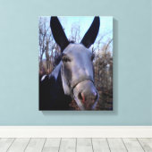Toile Peinture d'âne (Insitu (Plancher de Bois))