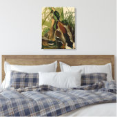 Toile Peinture d'oiseaux de Mallard Duck Audubon (Insitu(Chambre))