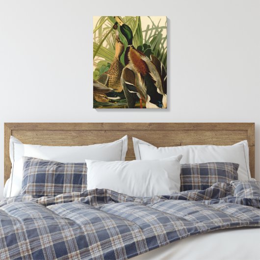 Toile Peinture d'oiseaux de Mallard Duck Audubon (Insitu(Chambre))