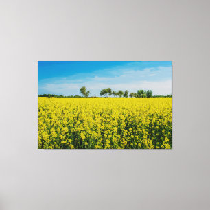 Toile Peinture du champ de fleurs jaunes