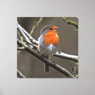 Toile Peinture européenne Robin rouge et gris