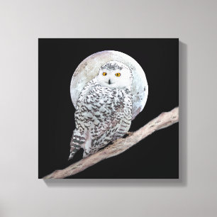 Toile Peinture sur la Chouette neigeuse et la Lune - Art
