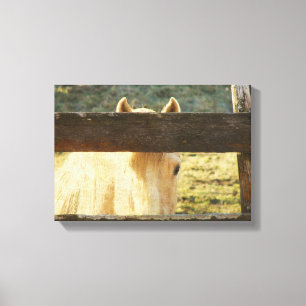 Toile Pékin À La Clôture