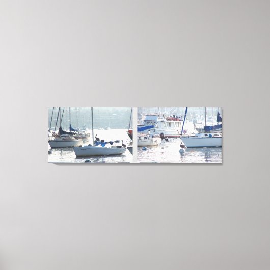 Toile Pelican Birds Animaux sauvages Plage (Recto)