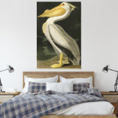 Toile Pélican blanc américain, les oiseaux d'Amérique d' (Insitu(Chambre))